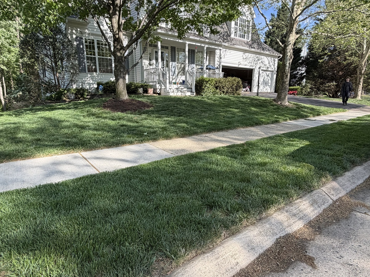 Freshly cut green lawn with sharp lines and clean curb appeal