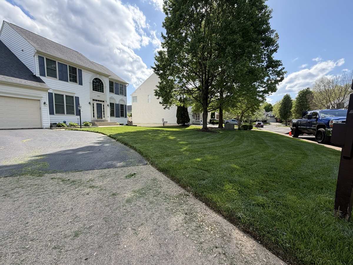 Freshly cut green lawn with sharp lines and clean curb appeal